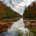 Herbst im Pfälzer Wald