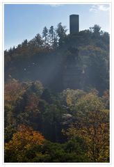 Herbst im Pfälzer Wald