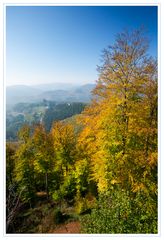 Herbst im Pfälzer Wald II