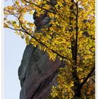 Herbst im Pfälzer Wald III