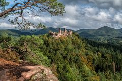 Herbst im Pfälzerwald