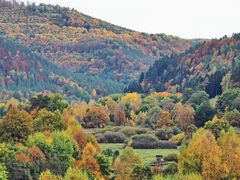 Herbst im Pfälzerwald