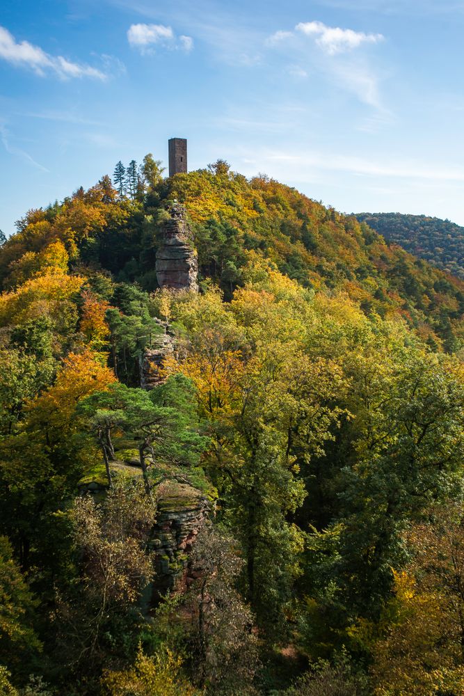 Herbst im Pfälzerwald