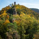 Herbst im Pfälzerwald