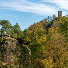 Herbst im Pfälzerwald II