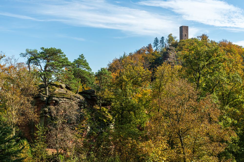 Herbst im Pfälzerwald II