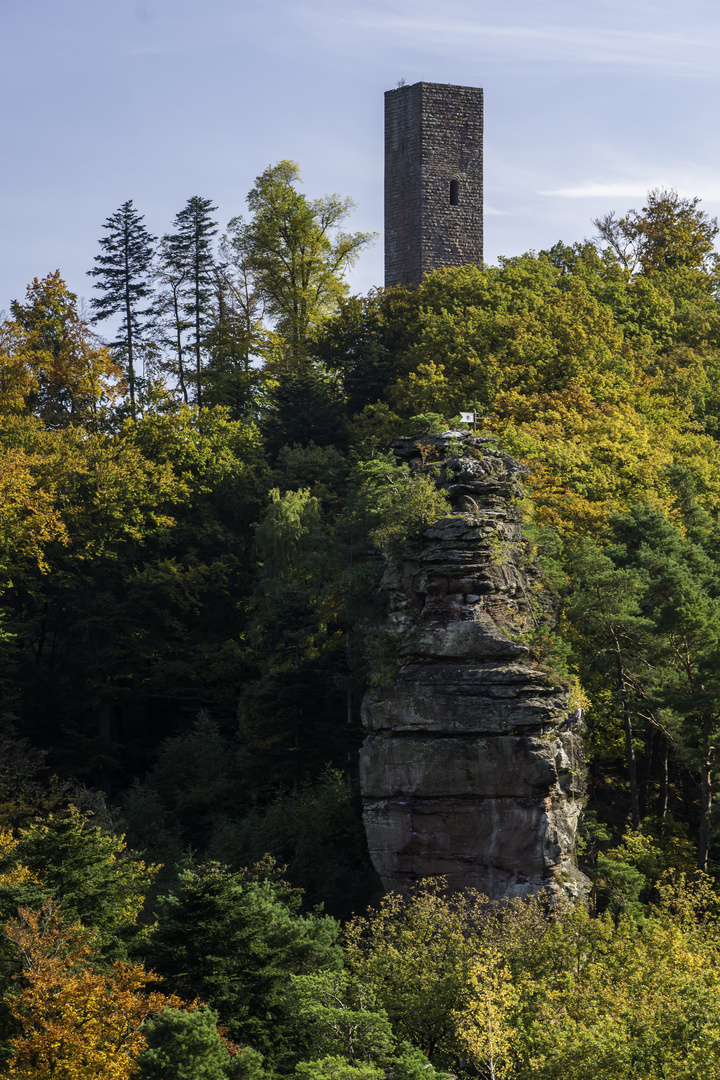 Herbst im Pfälzerwald III