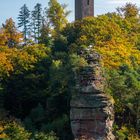 Herbst im Pfälzerwald III