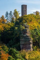 Herbst im Pfälzerwald III