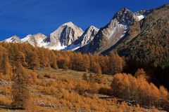 Herbst im Pfossental