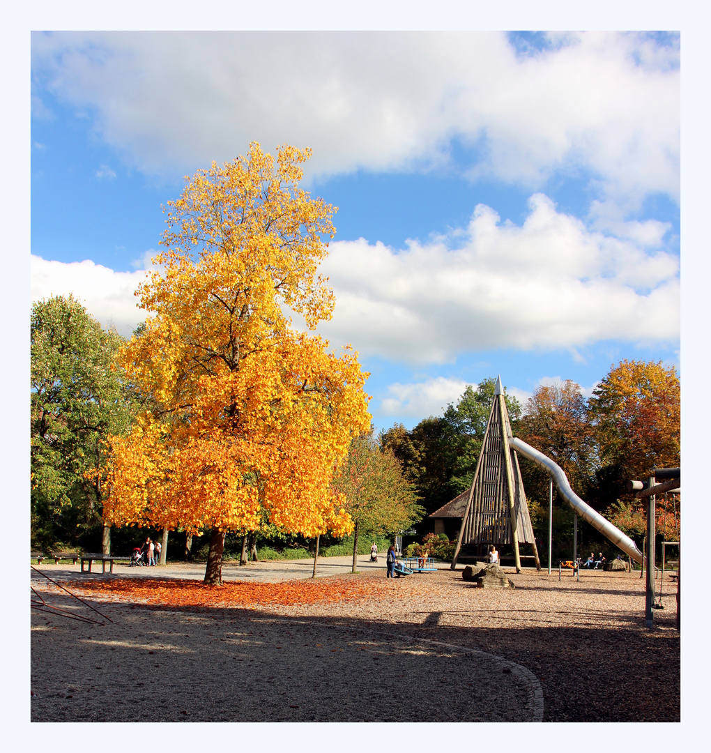 Herbst im Pfühlpark Heilbronn