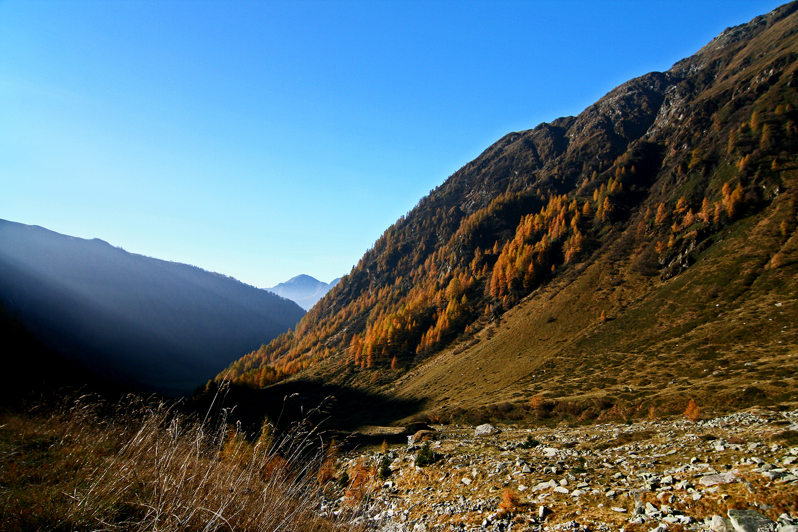 Herbst im Pfunderertal