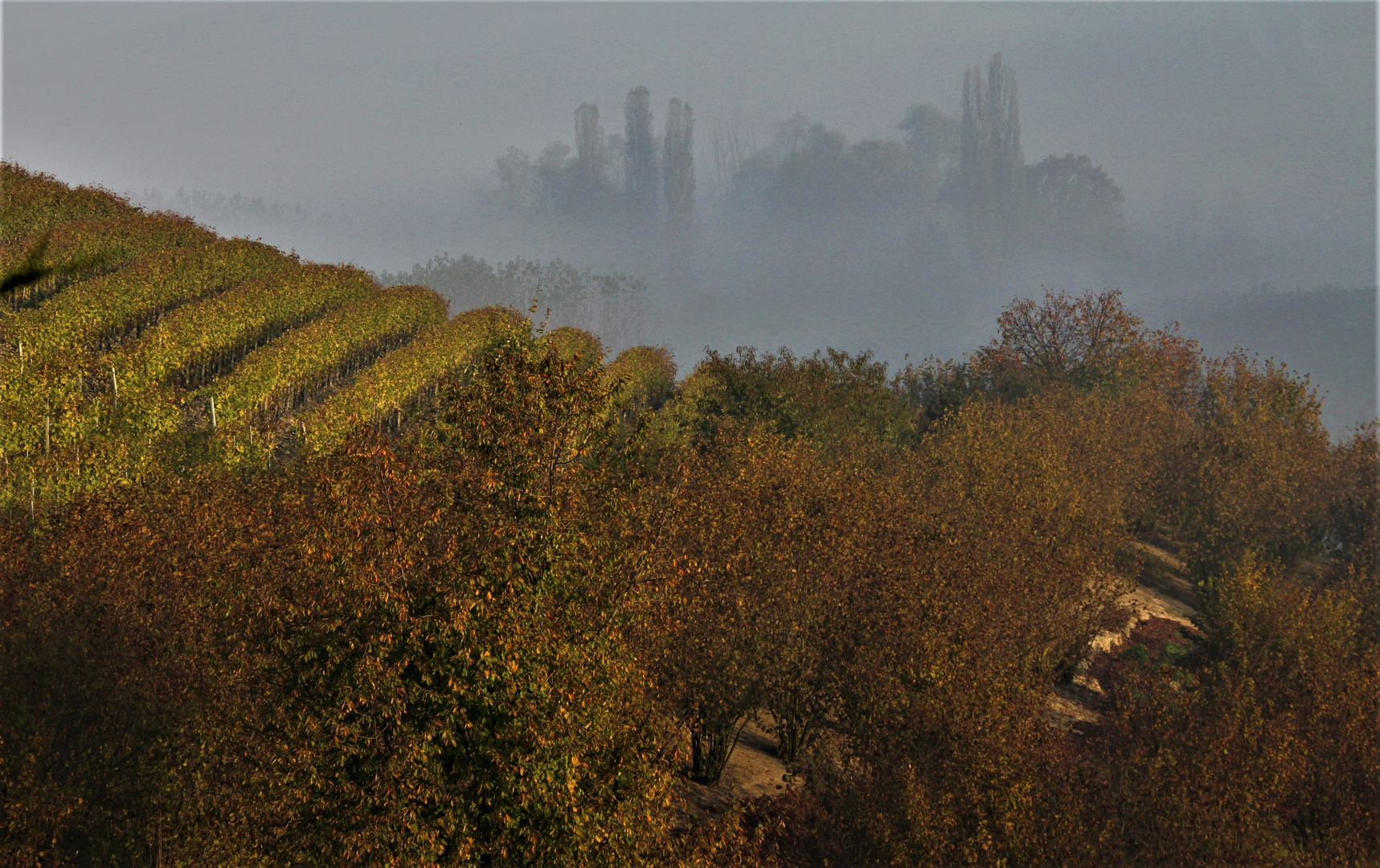 Herbst im Piemont