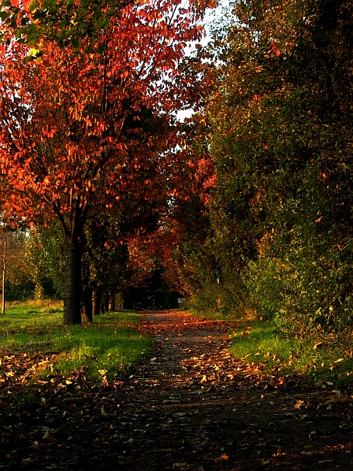 Herbst im Pott