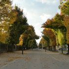 Herbst im Prater