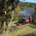 Herbst im Preßnitztal