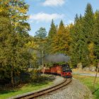 Herbst im Preßnitztal