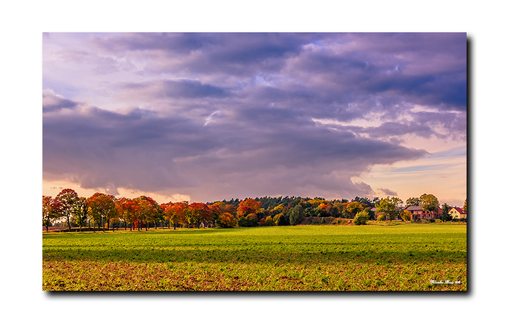 Herbst im Prignitzländle