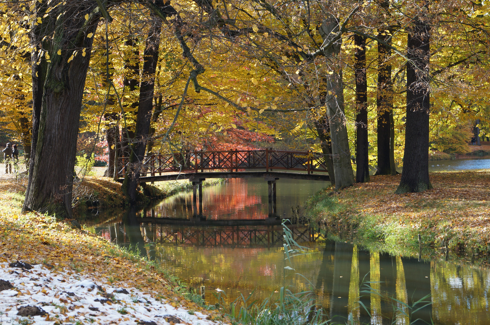 Herbst im Pücklerpark