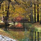 Herbst im Pücklerpark