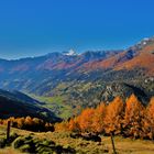 Herbst im Puschlavertahl Graubünden Schweiz 