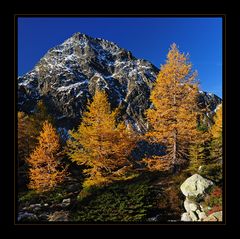 Herbst im Quadrat