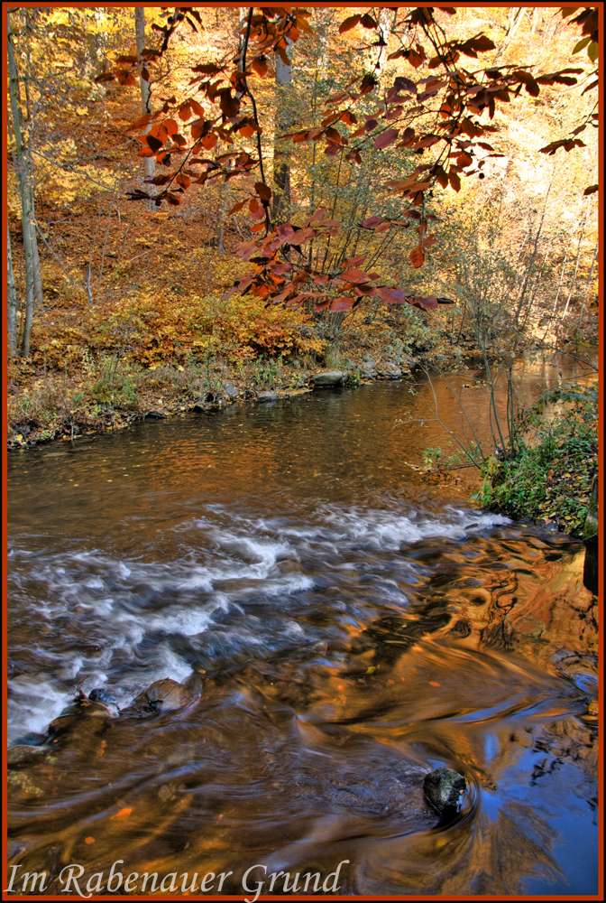 Herbst im Rabenauer Grund