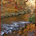 Herbst im Rabenauer Grund