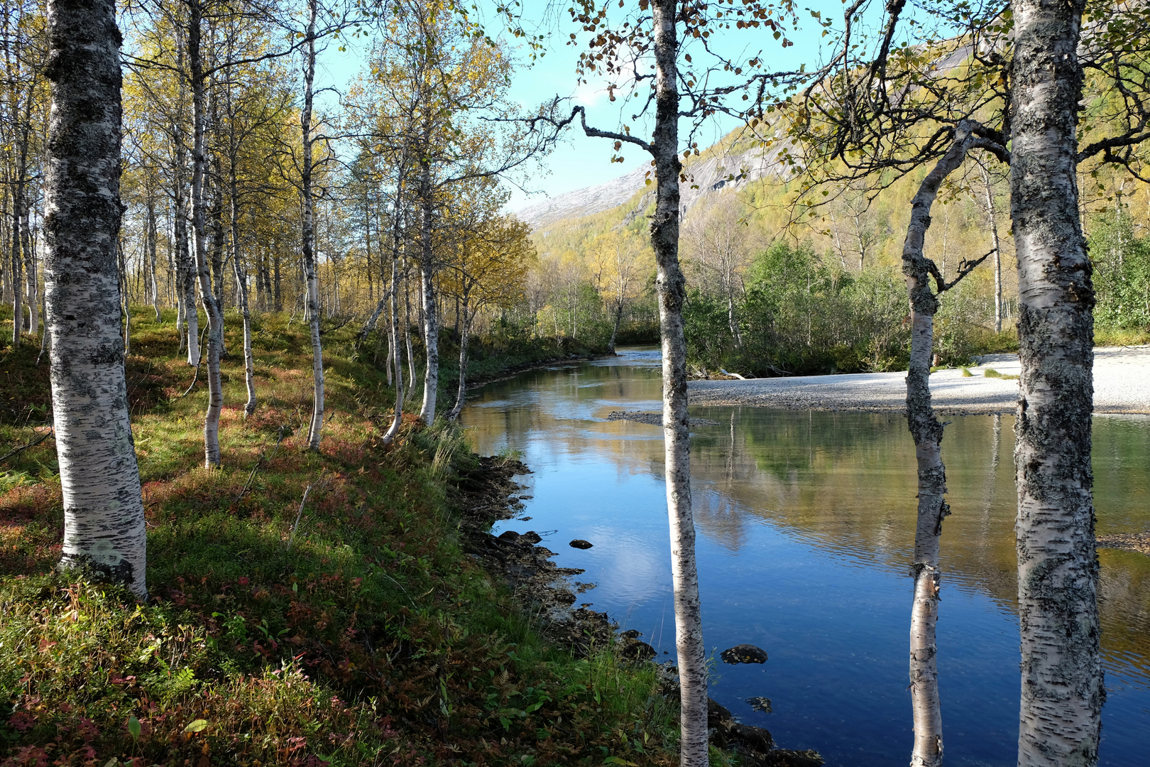 Herbst im Rago Nationalpark