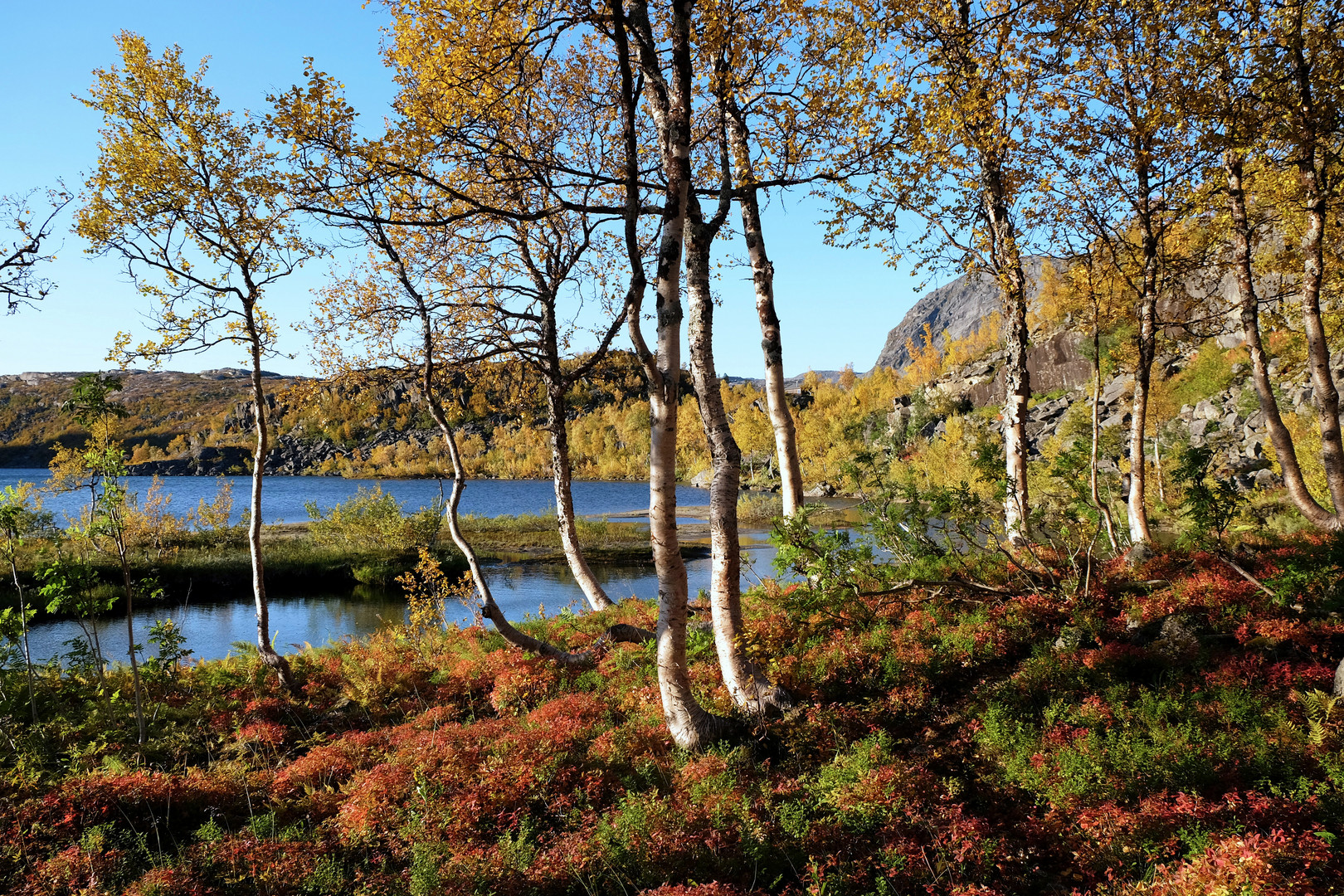 Herbst im Rago Nationalpark