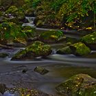 Herbst im Rauscherpark