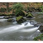 Herbst im Rauscherpark