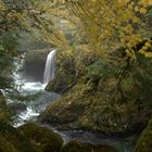 Herbst im Regenwald