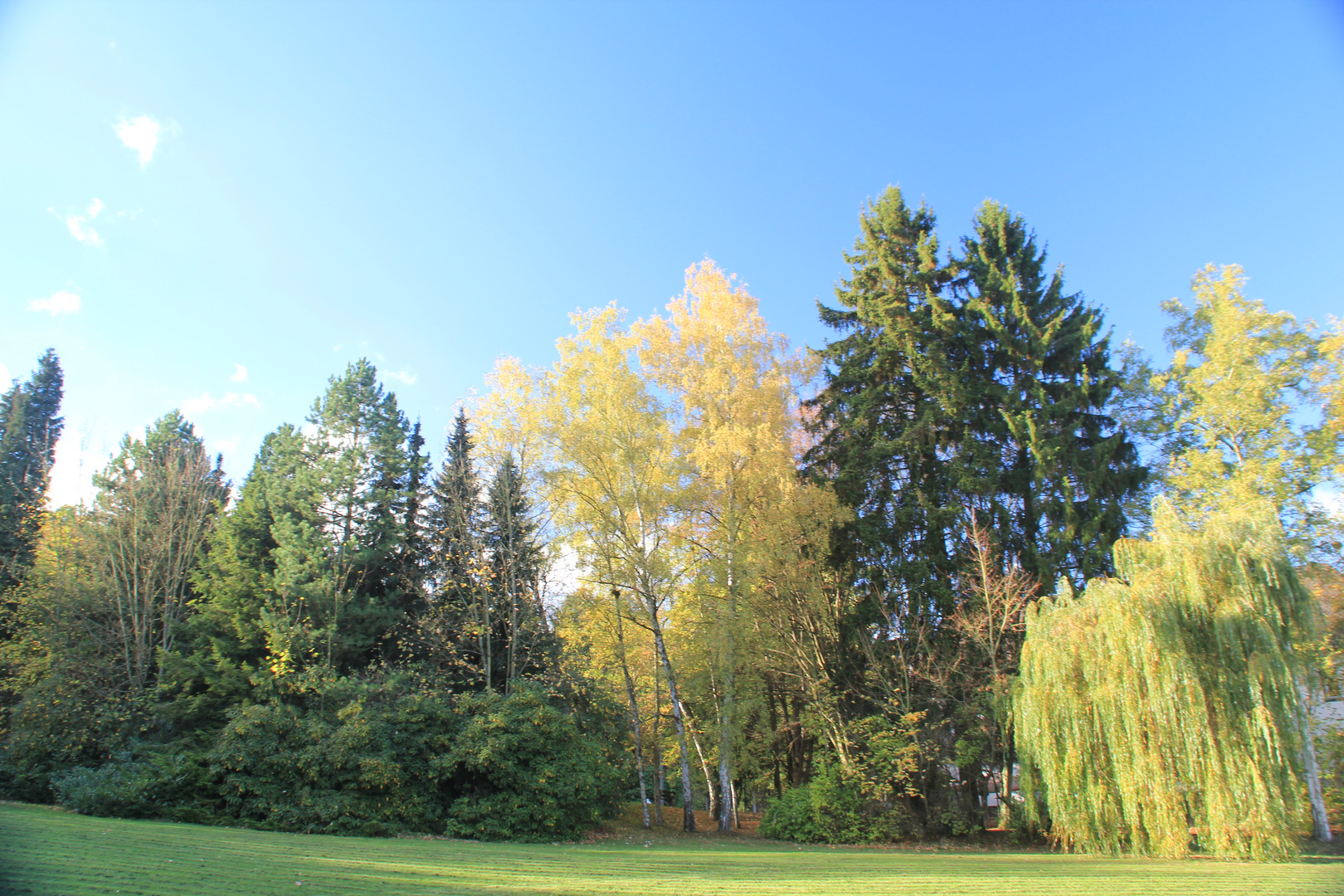 Herbst im Rehbergpark Herborn