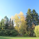 Herbst im Rehbergpark Herborn