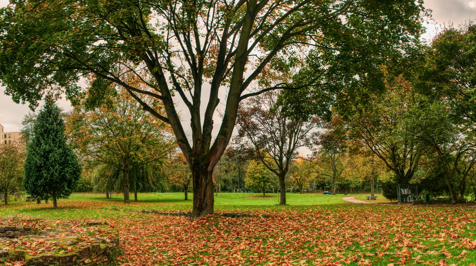 Herbst im Reitersdorfer Park, Bad Honnef