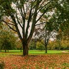 Herbst im Reitersdorfer Park, Bad Honnef