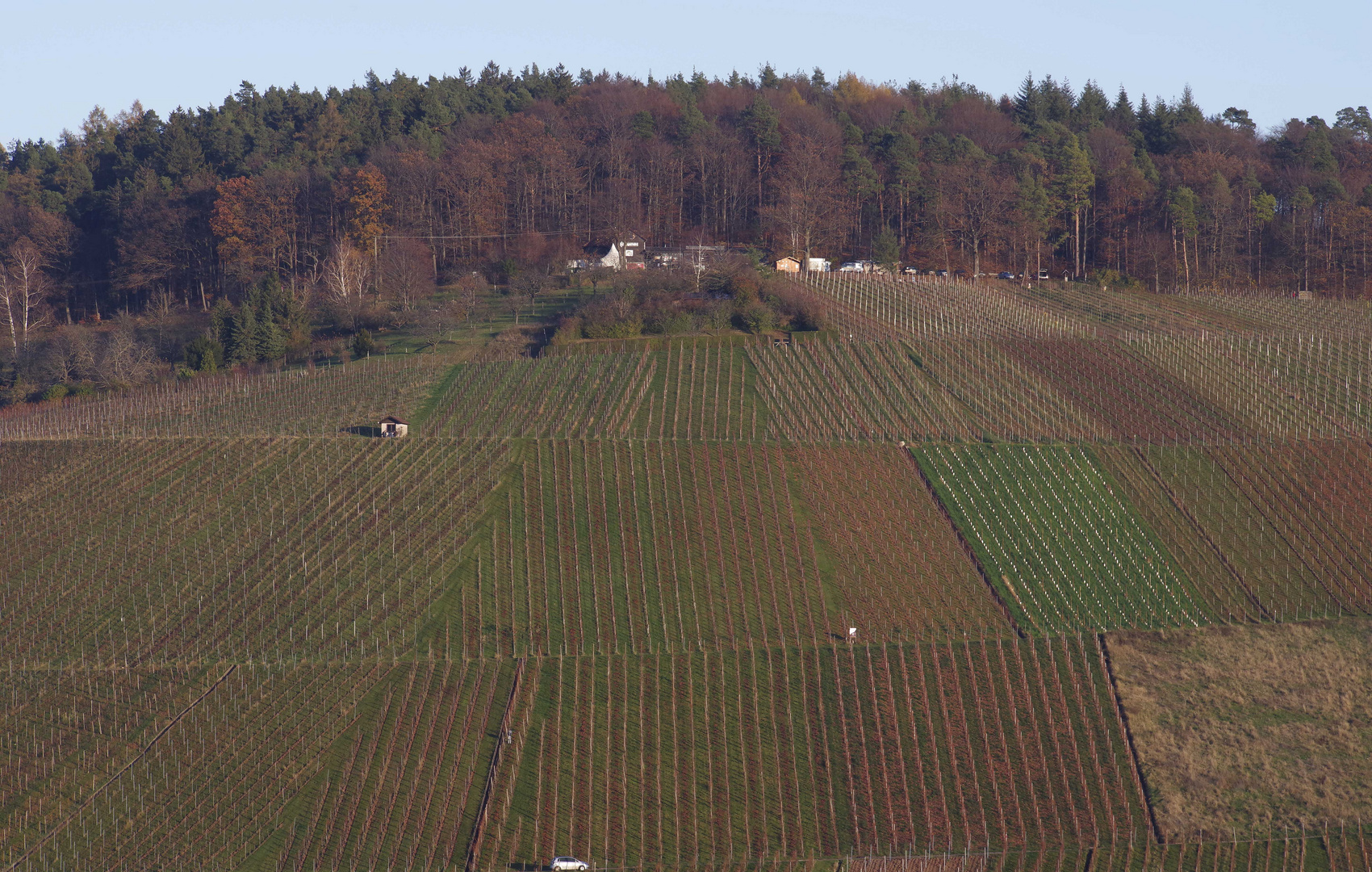 ...Herbst im Remstal