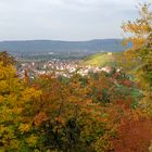 Herbst im Remstal (Stetten i. R.)