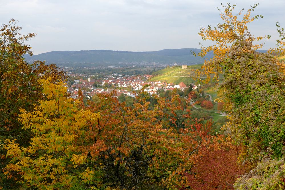 Herbst im Remstal (Stetten i. R.)
