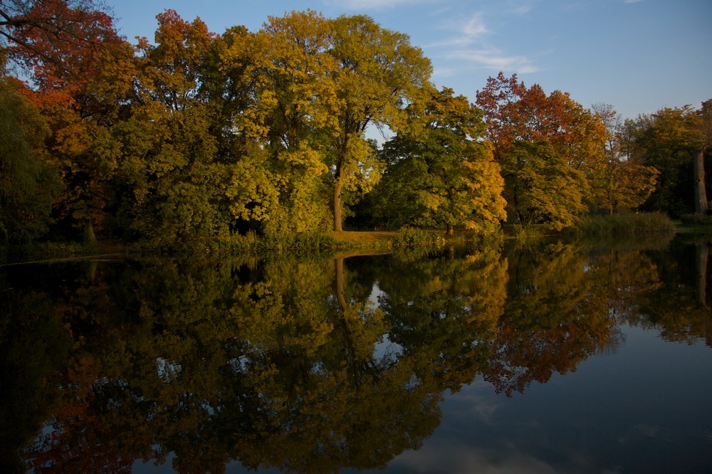 Herbst im Revier