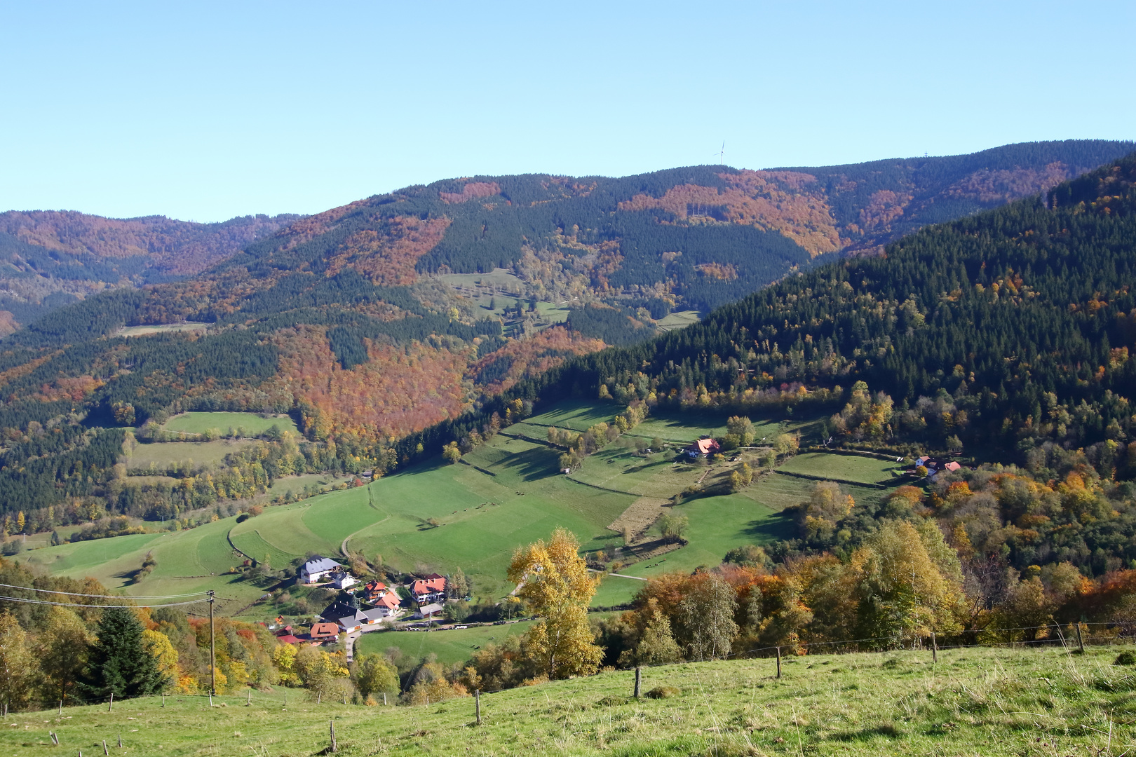 Herbst im Revier