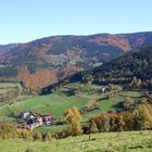 Herbst im Revier