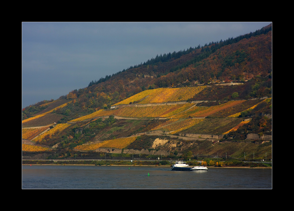 Herbst im Rheingau