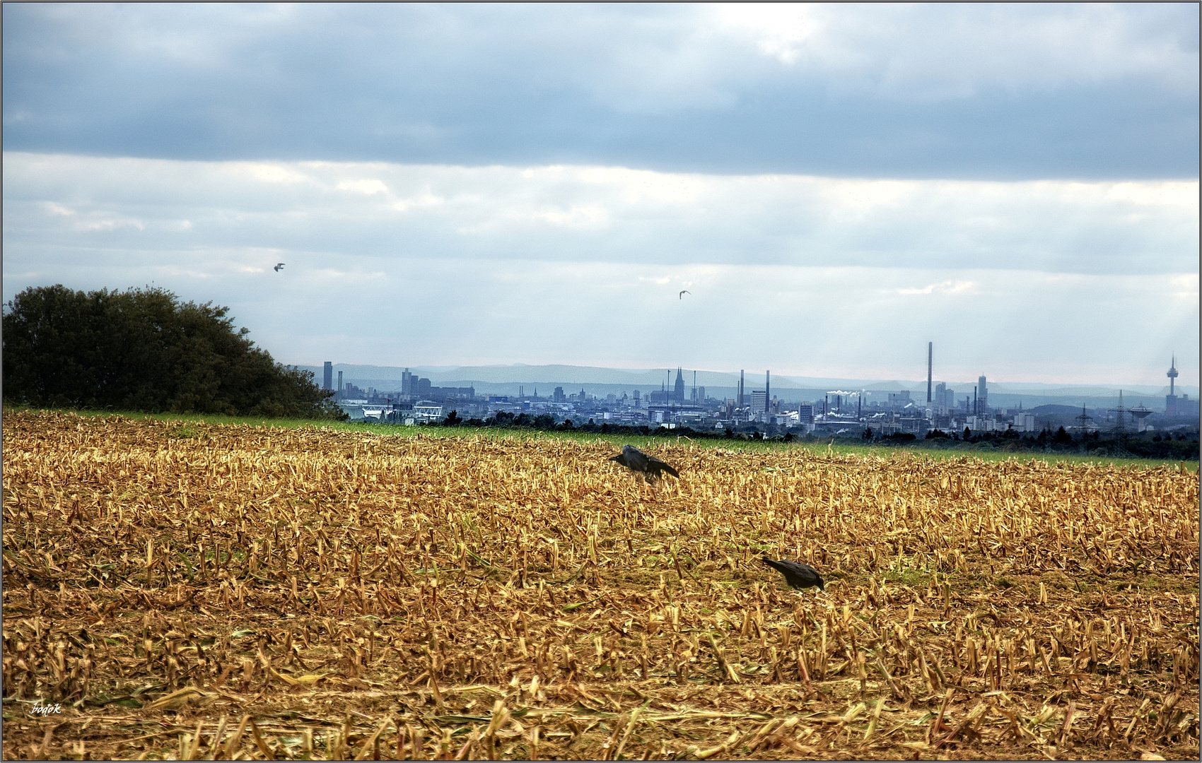 Herbst im Rheinisch-Bergischen Kreis...