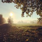 Herbst im Rheinpark