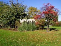 herbst im Rheinpark 