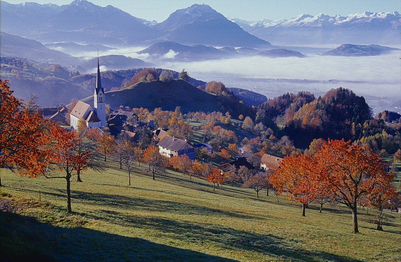 Herbst im Rheintal...