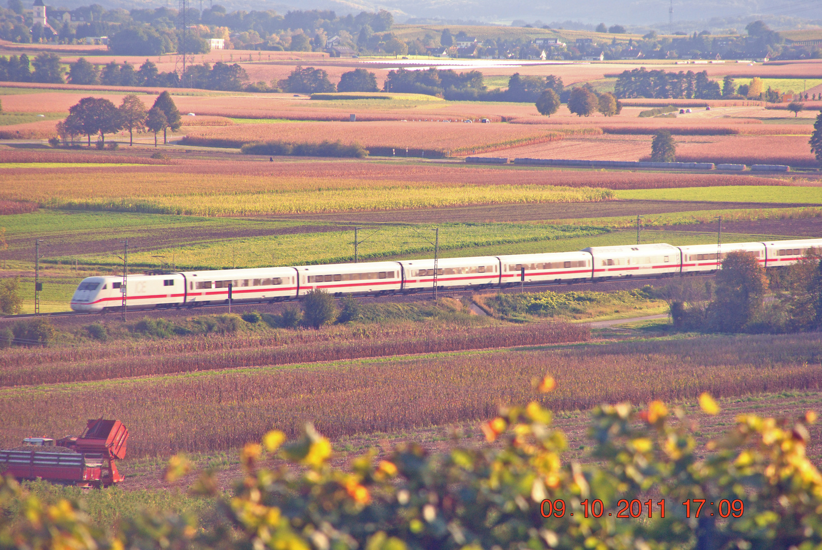 Herbst im Rheintal