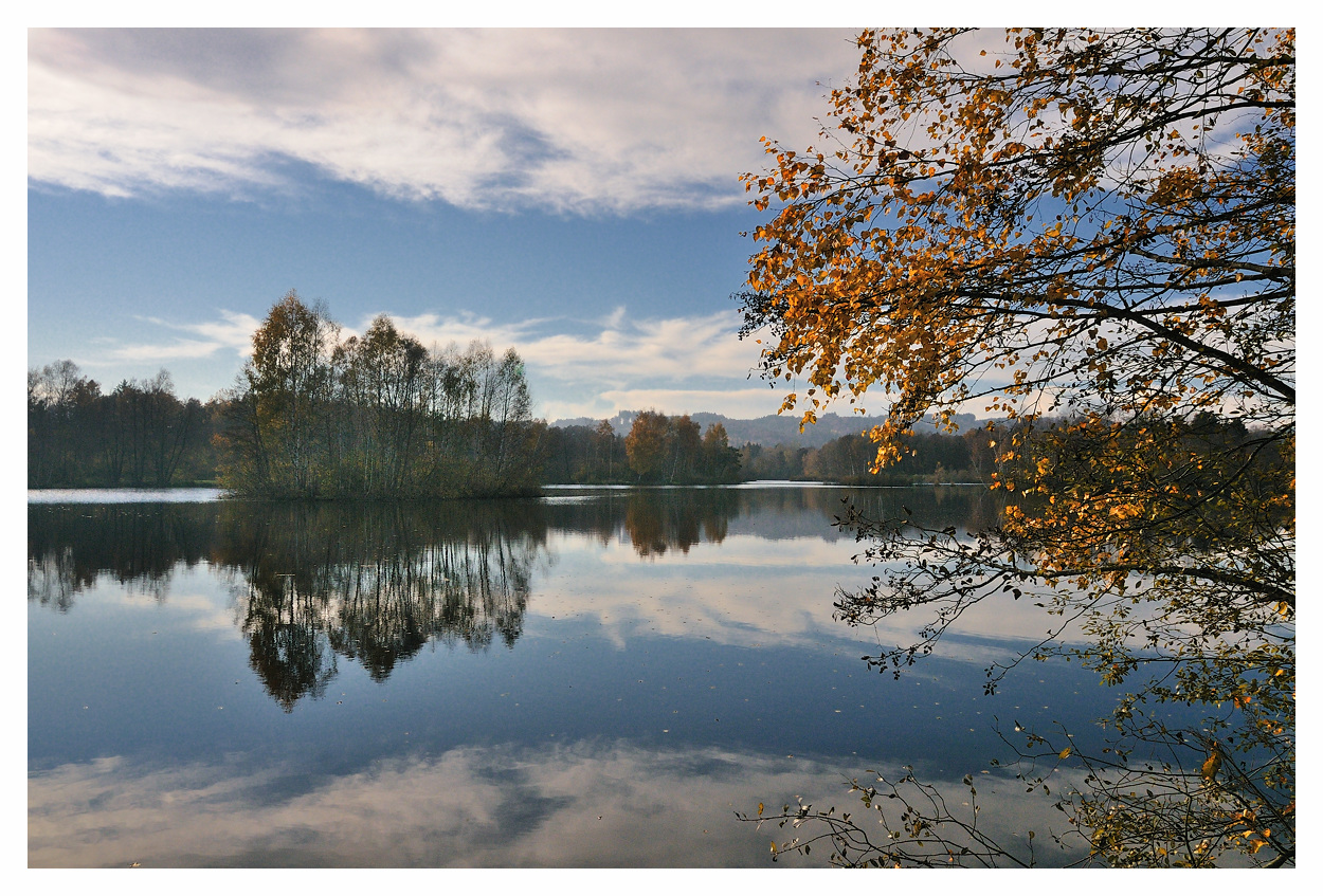 Herbst im Ried #4